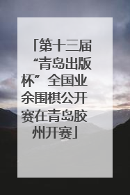 第十三届“青岛出版杯”全国业余围棋公开赛在青岛胶州开赛