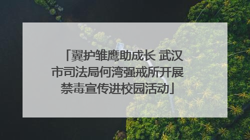 翼护雏鹰助成长 武汉市司法局何湾强戒所开展禁毒宣传进校园活动