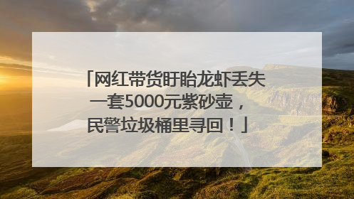 网红带货盱眙龙虾丢失一套5000元紫砂壶，民警垃圾桶里寻回！