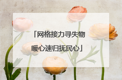 网格接力寻失物 暖心速归抚民心