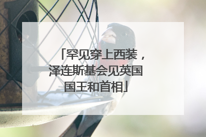 罕见穿上西装，泽连斯基会见英国国王和首相