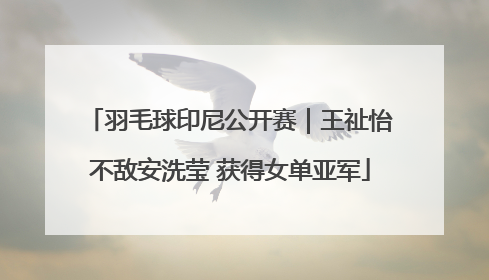 羽毛球印尼公开赛｜王祉怡不敌安洗莹 获得女单亚军