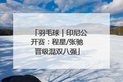 羽毛球｜印尼公开赛：程星/张驰晋级混双八强