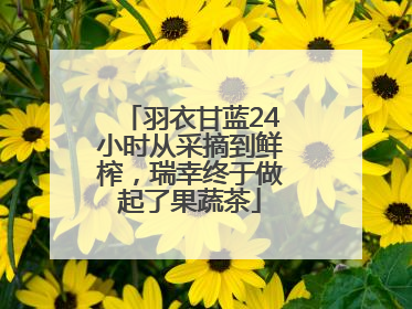 羽衣甘蓝24小时从采摘到鲜榨，瑞幸终于做起了果蔬茶