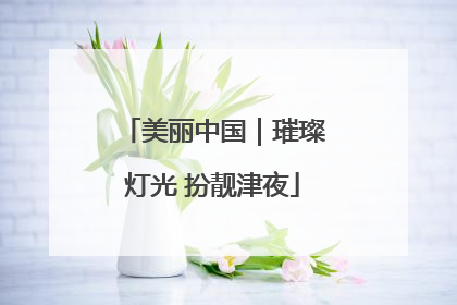 美丽中国｜璀璨灯光 扮靓津夜