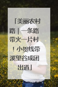 美丽农村路｜一条路带火一片村！小贺线带溪望谷成团出道