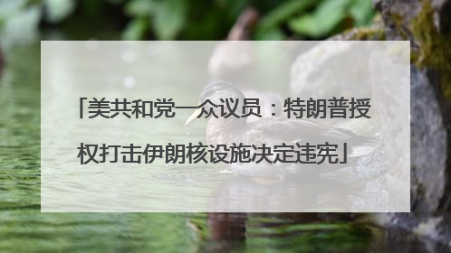 美共和党一众议员：特朗普授权打击伊朗核设施决定违宪