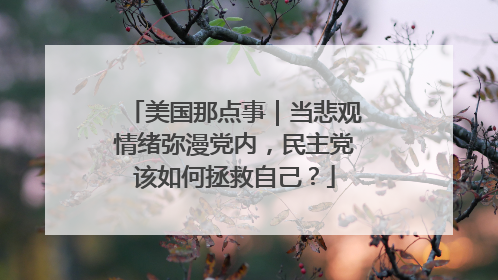 美国那点事｜当悲观情绪弥漫党内，民主党该如何拯救自己？