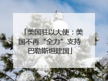 美国驻以大使：美国不再“全力”支持巴勒斯坦建国