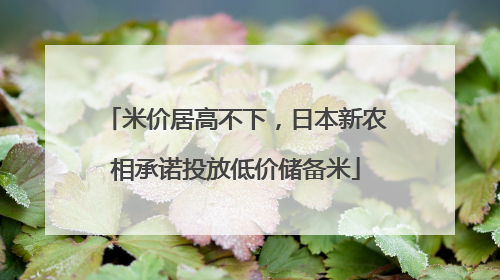 米价居高不下，日本新农相承诺投放低价储备米