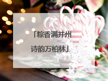 粽香满并州 诗韵万柏林