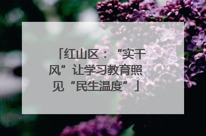 红山区：“实干风”让学习教育照见“民生温度”