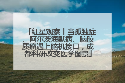 红星观察丨当孤独症、阿尔茨海默病、脑胶质瘤遇上脑机接口，成都科研改变医学图景