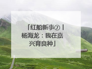 红船新事⑦丨杨海龙：我在嘉兴育良种
