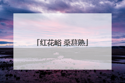 红花峪 桑葚熟
