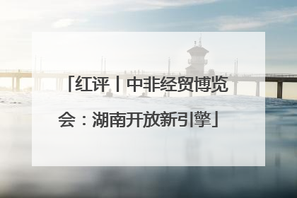 红评丨中非经贸博览会：湖南开放新引擎