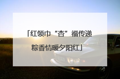 红领巾“杏”福传递 粽香情暖夕阳红