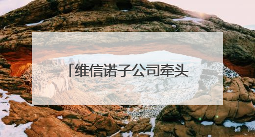 维信诺子公司牵头，全球首个Micro-LED阵列国际标准获批立项