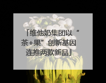 维他奶集团以“茶+果”创新基因连推两款新品