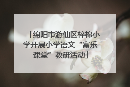 绵阳市游仙区梓棉小学开展小学语文“富乐课堂”教研活动