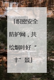织密安全防护网，共绘烟叶好“丰”景