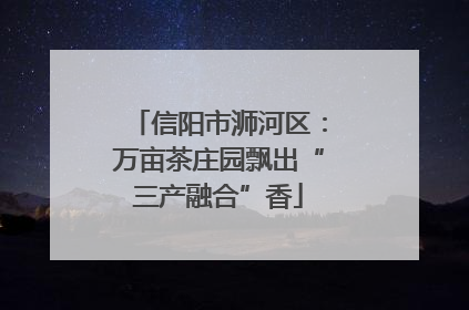 信阳市浉河区：万亩茶庄园飘出“三产融合”香