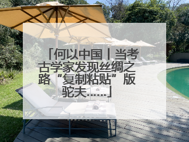 何以中国丨当考古学家发现丝绸之路“复制粘贴”版驼夫……