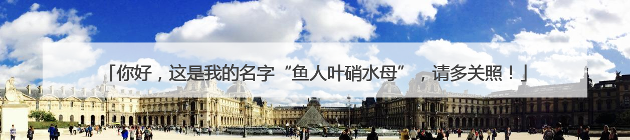 你好，这是我的名字“鱼人叶硝水母”，请多关照！