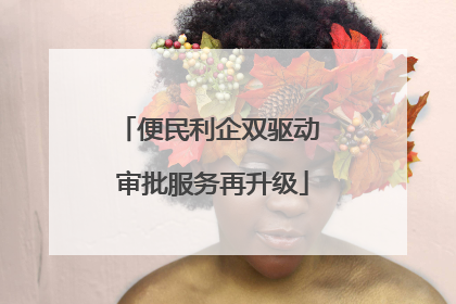 便民利企双驱动 审批服务再升级