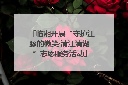 临湘开展“守护江豚的微笑·清江清湖”志愿服务活动