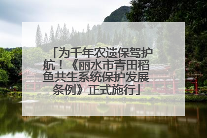为千年农遗保驾护航！《丽水市青田稻鱼共生系统保护发展条例》正式施行