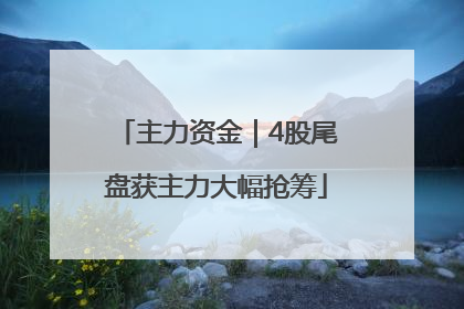 主力资金｜4股尾盘获主力大幅抢筹