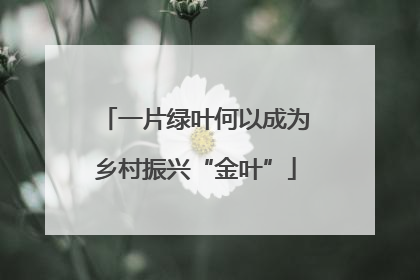 一片绿叶何以成为乡村振兴“金叶”