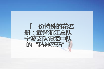 一份特殊的花名册：武警浙江总队宁波支队镇海中队的“精神密码”