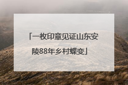 一枚印章见证山东安陵88年乡村蝶变