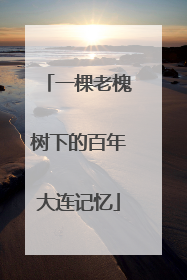 一棵老槐树下的百年大连记忆