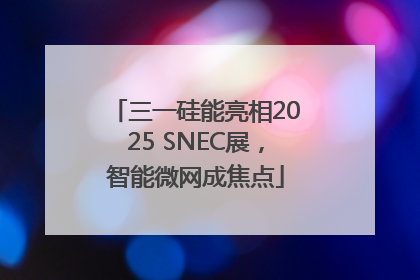 三一硅能亮相2025 SNEC展，智能微网成焦点