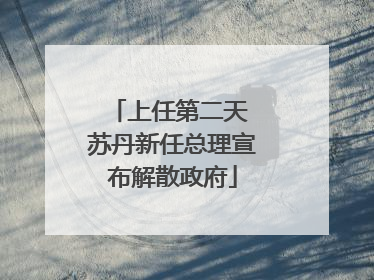 上任第二天 苏丹新任总理宣布解散政府