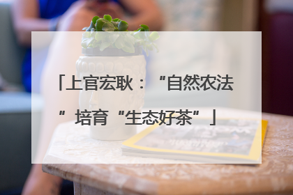 上官宏耿：“自然农法”培育“生态好茶”
