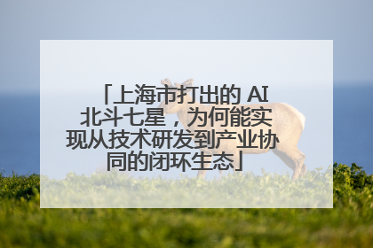 上海市打出的 AI 北斗七星，为何能实现从技术研发到产业协同的闭环生态