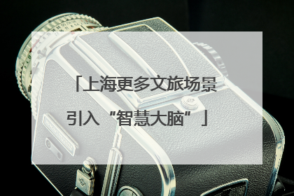上海更多文旅场景引入“智慧大脑”