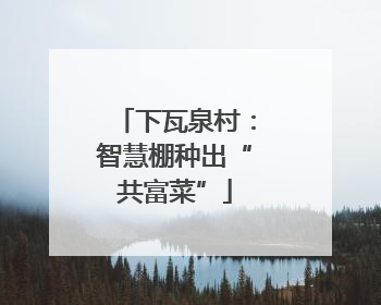 下瓦泉村：智慧棚种出“共富菜”