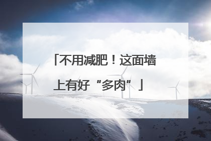 不用减肥！这面墙上有好“多肉”