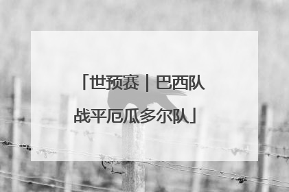 世预赛｜巴西队战平厄瓜多尔队