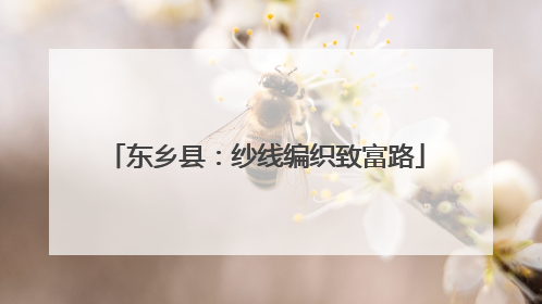 东乡县：纱线编织致富路