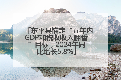 东平县锚定“五年内GDP和税收收入翻番”目标，2024年同比增长5.8%