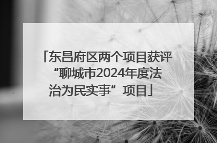 东昌府区两个项目获评“聊城市2024年度法治为民实事”项目