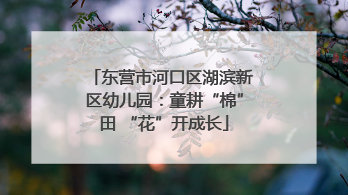 东营市河口区湖滨新区幼儿园：童耕“棉”田 “花”开成长