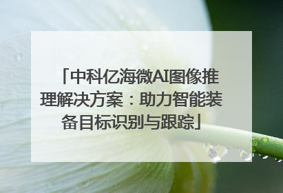 中科亿海微AI图像推理解决方案：助力智能装备目标识别与跟踪