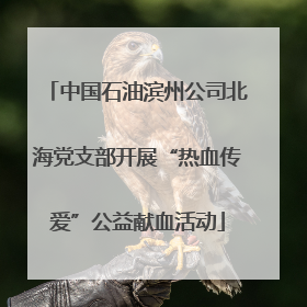 中国石油滨州公司北海党支部开展“热血传爱”公益献血活动